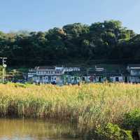 秘境漫步：新界鹿頸至谷埔的溫馨之旅🌸