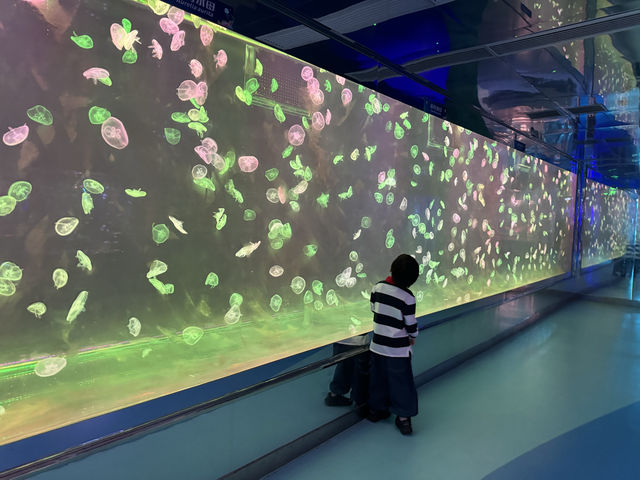 廣州海洋館親子遊全攻略