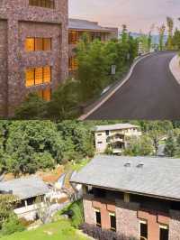 追住春風去度假喺金方住進春天裏