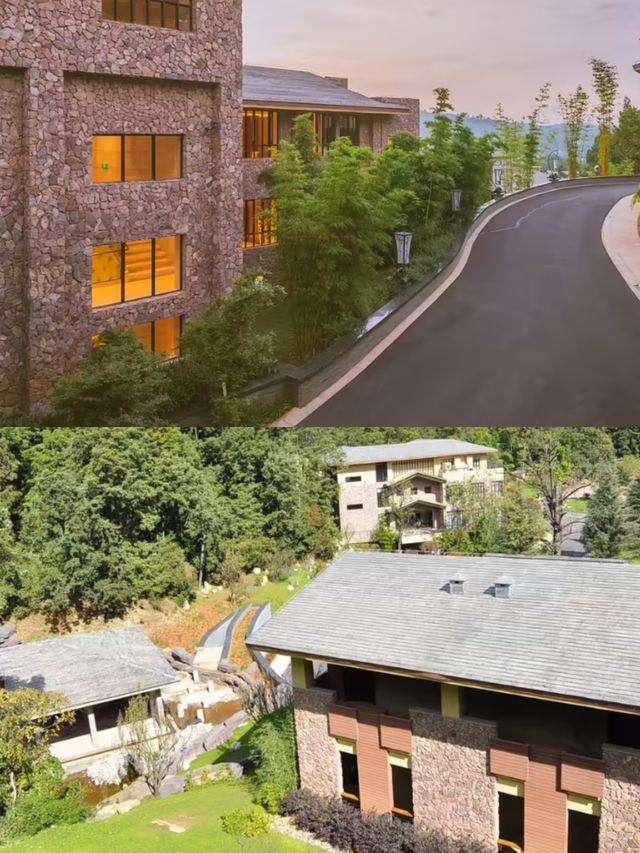 追住春風去度假喺金方住進春天裏