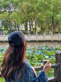 來南通玩兩天，行程這樣安排超精彩，詳細攻略攻略請收藏