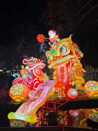 光影趵突：2025花燈夜遊記