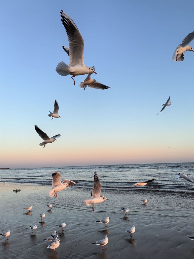 秦皇島2日遊 邊玩邊泡真溫泉