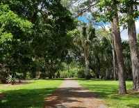 澳洲洛克咸頓植物園：大自然的綠色天堂 