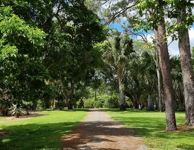 澳洲洛克咸頓植物園：大自然的綠色天堂 