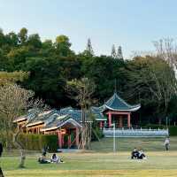 必去！中山紫馬嶺香山書房，真係好去處✨