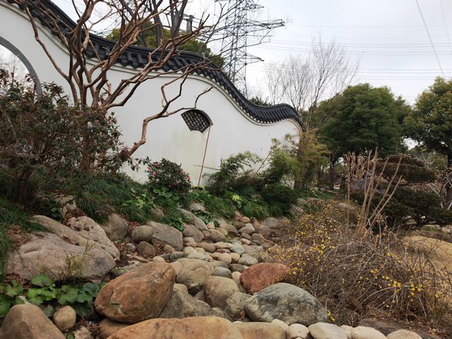 真如公園梅花景