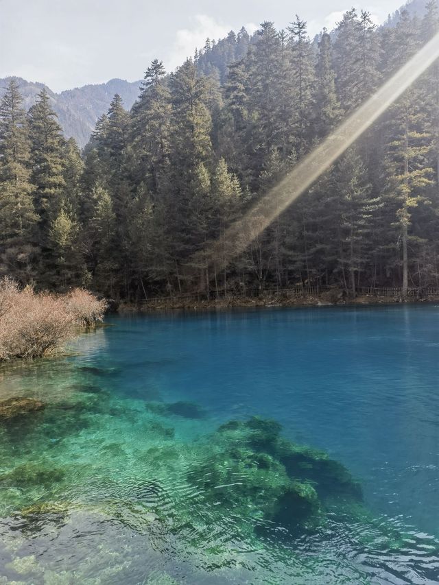 小長假暢遊九寨溝—黃龍風景名勝區全攻略