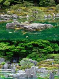 福岡大濠公園日本庭園︱邂逅和風詩意之境