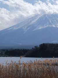 春日櫻花季 來日本盡享溫泉之旅