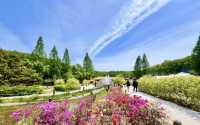 韓國富川自然生態公園：探秘自然之美，盡享親子樂趣！