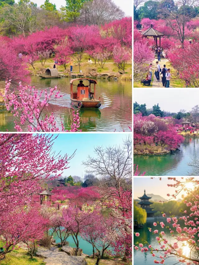 My Wallet Cried After 4 Days in Yangzhou! A Foolproof Guide to Avoiding Tourist Traps