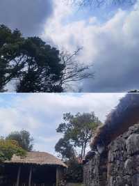 韓國莞島郡超全攻略！必看