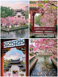 水鄉花海·五城秘境遊全攻略