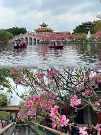 放棄漫花莊園廣州寶墨園賞櫻天花板