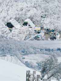 江南的滑雪勝地，每一幀的美得可以當桌布。