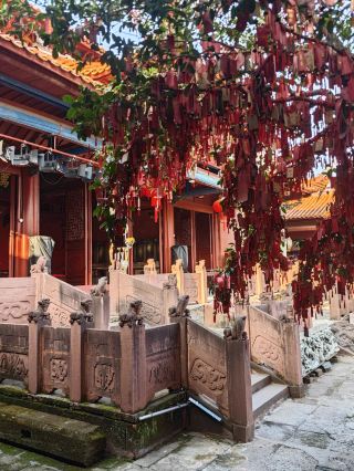 2-Day Longyan Tour: Discover All the Highlights