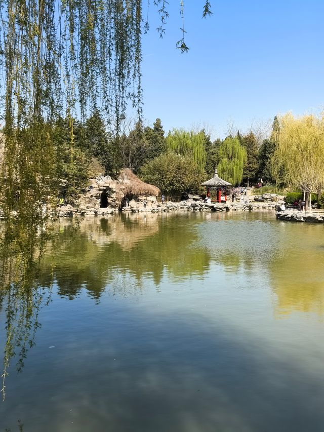 三月北京日壇公園旅遊攻略