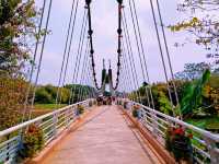Shipai Park: Blooming as A Bomb of Colours in Dongguan