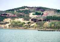 牟山濕地公園：大自然嘅詩意篇章