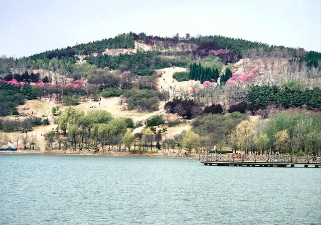 牟山濕地公園：大自然嘅詩意篇章