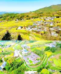 新疆伊犁杏花溝、鳳堰梯田、加榜梯田旅遊筆記