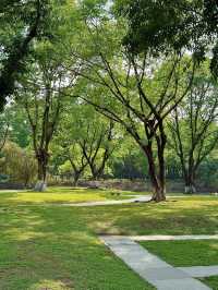 岐江公園野餐，邂逅悠然時光