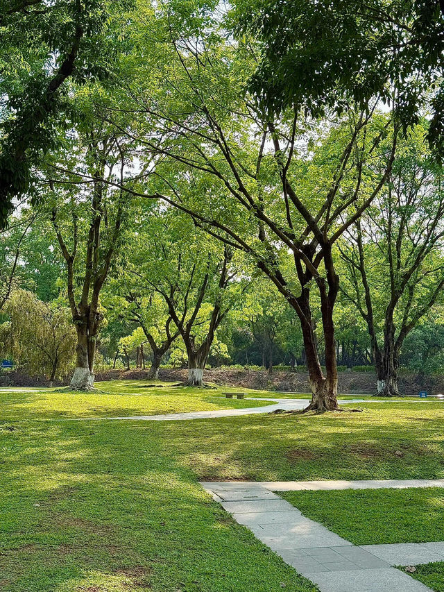 岐江公園野餐，邂逅悠然時光