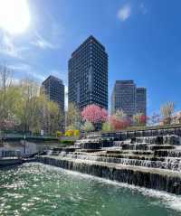 “京城塞納河”亮馬河國際風情水岸