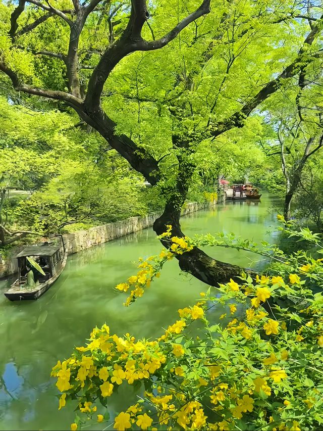 太喜歡蘇州的春天了