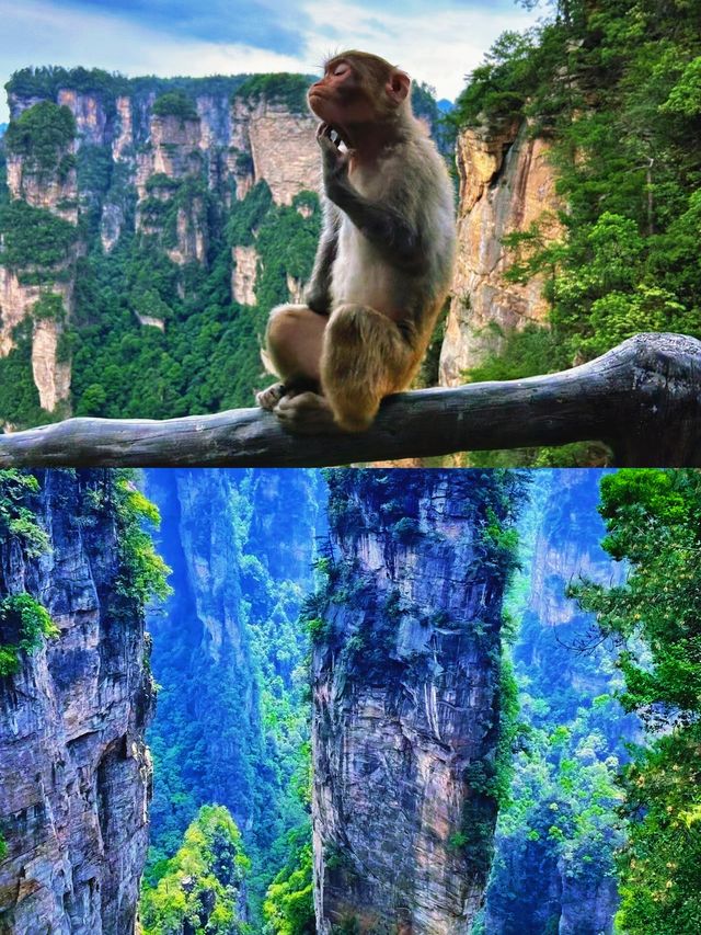 張家界旅遊文案及攻略：仙境之旅，邂逅奇峰異石
