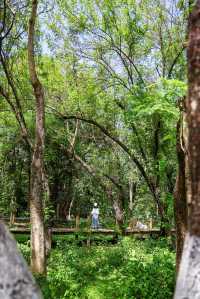 人少好拍在廣州我想去無數次的寶藏公園
