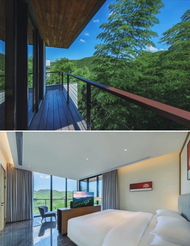 湖州·慧心谷 竹海茶園環繞嘅山景