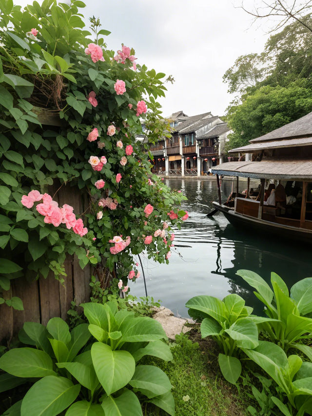 南浔薔薇花海 | 春日浪漫指數爆表