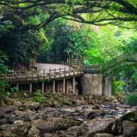 廣州週邊｜闖入綠野仙蹤！石門森林國家公園🌿