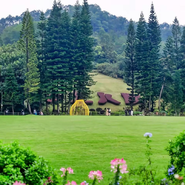深圳仙湖植物園 | 必打卡景點推薦