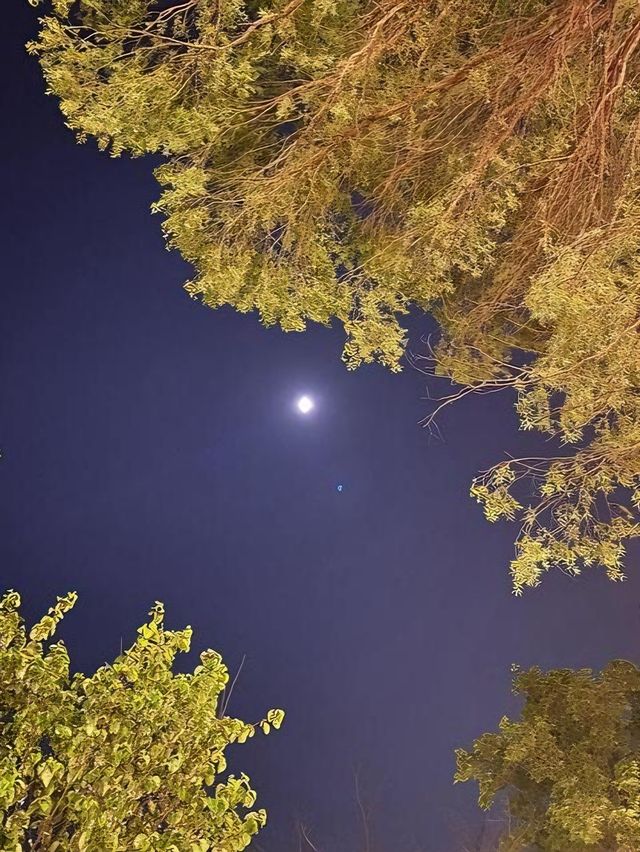漯河旅遊必備攻略（超全）