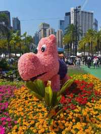 周末打卡香港維多利亞公園花卉展🌺