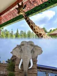 《貴州野生動物園:呢度嘅動物比你嘅前度仲難氹!》