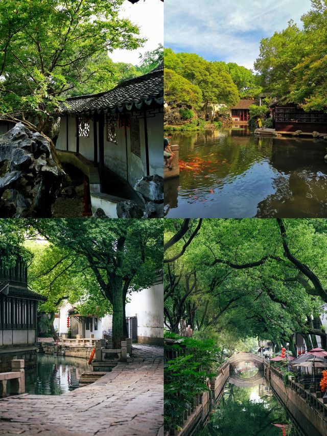 誤入江南水鄉 | 同里古鎮超詳細旅遊攻略 人均500