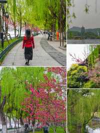 西湖嘅桃花美景，承包成個春天嘅粉紅邂逅
