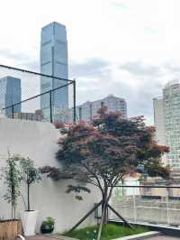 喺長沙我又搵到CP值超高嘅寶藏酒店