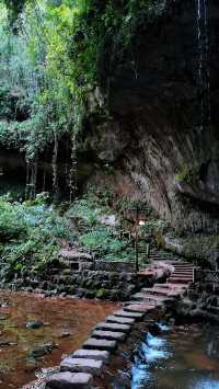 川西竹海|25℃綠意秘境清涼之旅全指南