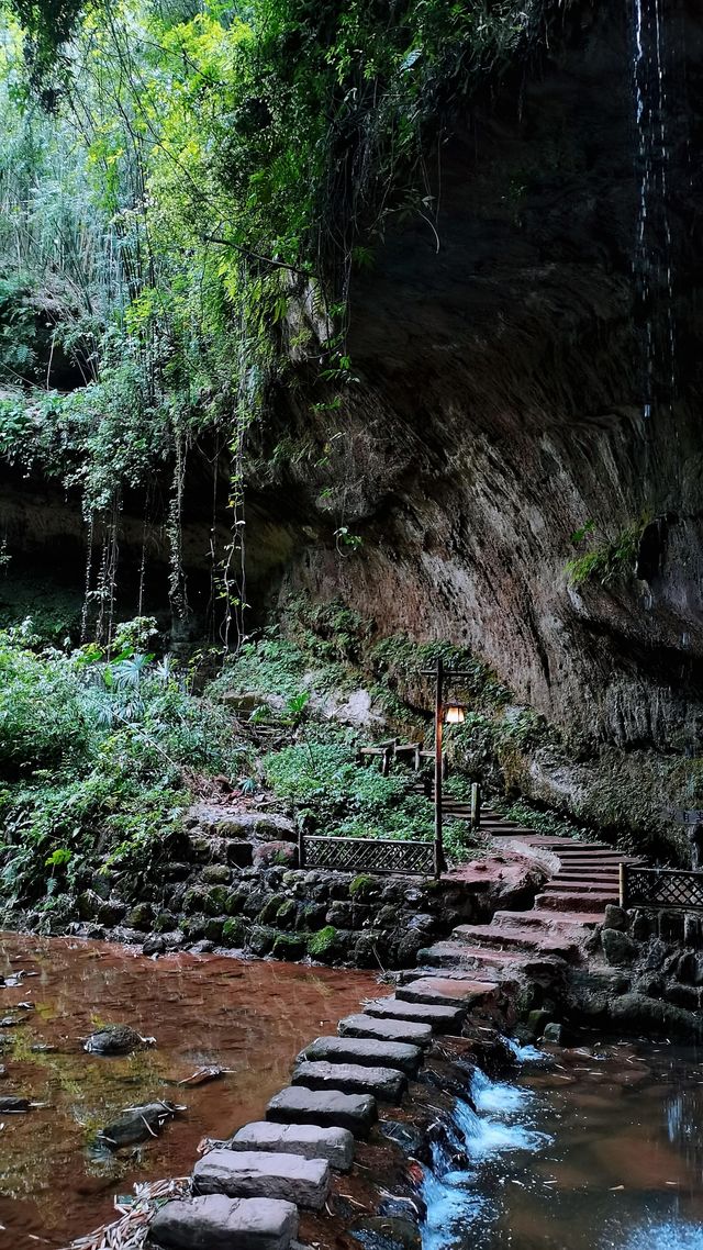 川西竹海|25℃綠意秘境清涼之旅全指南