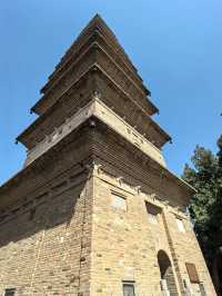 全國重點文物保護單位一一普救寺塔