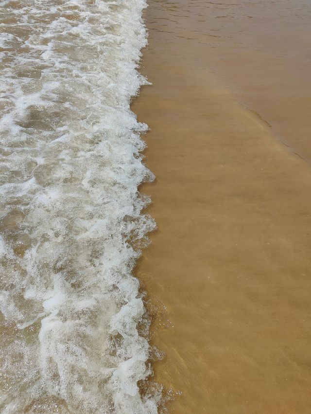 山海蒼南三日遊