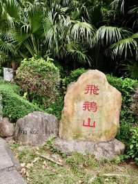 飛鵝回首，群山之間望九龍