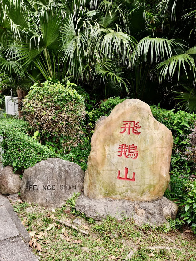 飛鵝回首，群山之間望九龍