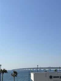 大阪轉機去臨空城🚆 交通攻略