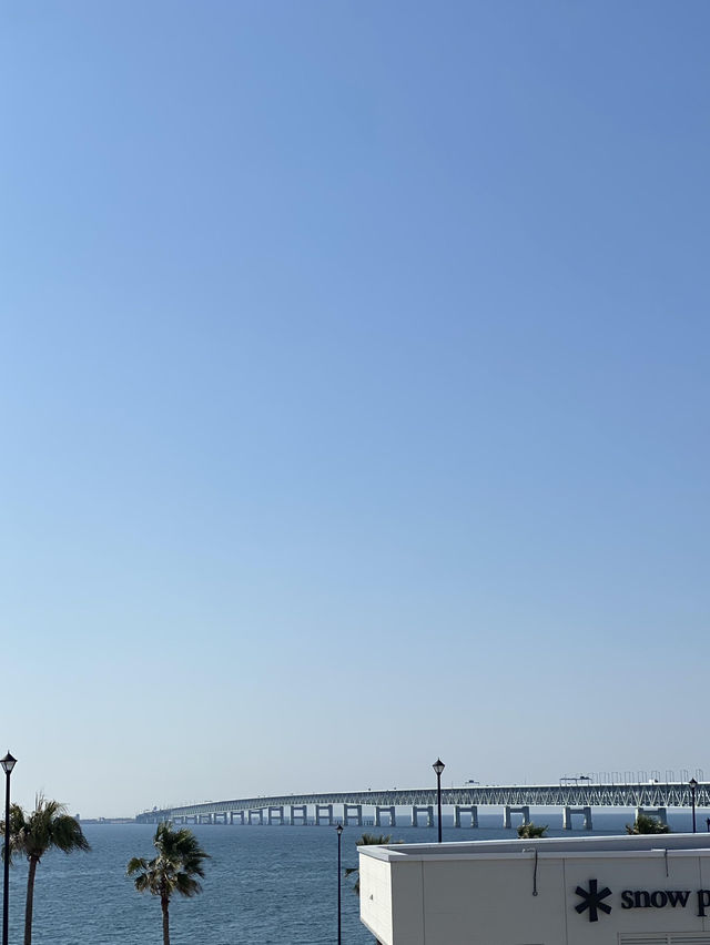 大阪轉機去臨空城🚆 交通攻略